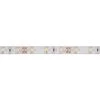 VELLEMAN FLEXIBLE LED - BLANC FROID - 300 LED - 5 M - 12 V 2 VELLEMAN FLEXIBLE LED - BLANC FROID - 300 LED - 5 M - 12 V -VELLEMAN Soldes Boutique 50340209 1